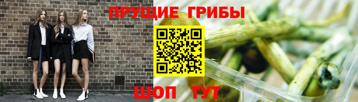 Галлюциногенные грибы мицелий Тихвин